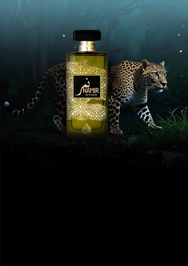 Best Men's Perfume in Dubai